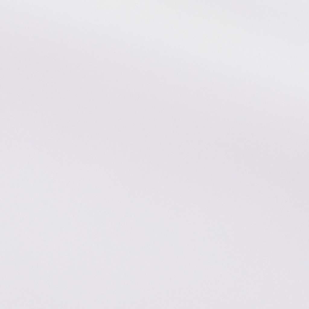 Minimalistische fine art fotografie workshop visual — zachte hoge tonen en abstracte texturen